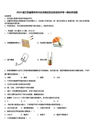 2024届江苏省泰州市兴化市顾庄区达标名校中考一模化学试题含解析.doc