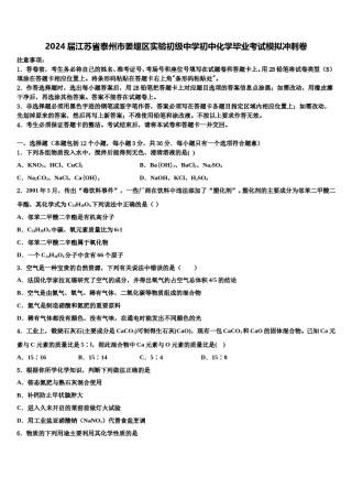 2024届江苏省泰州市姜堰区实验初级中学初中化学毕业考试模拟冲刺卷含解析.doc