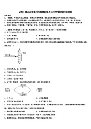 2024届江苏省泰州市海陵区重点名校中考化学四模试卷含解析.doc