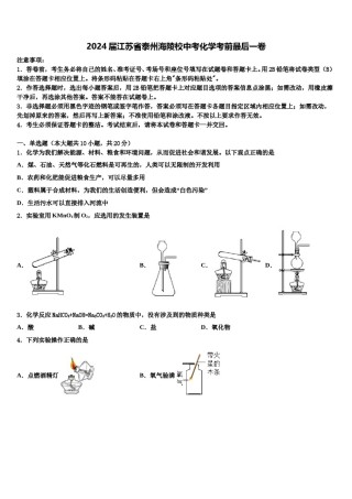 2024届江苏省泰州海陵校中考化学考前最后一卷含解析.doc