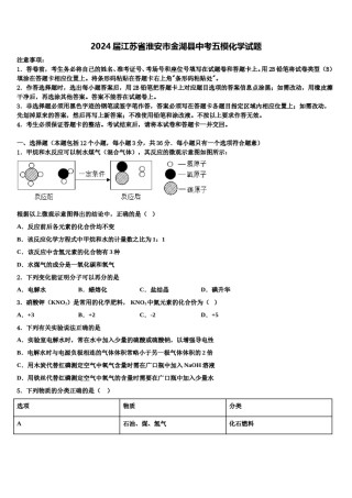 2024届江苏省淮安市金湖县中考五模化学试题含解析.doc