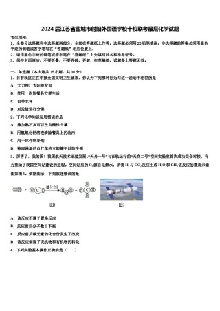 2024届江苏省盐城市射阳外国语学校十校联考最后化学试题含解析.doc