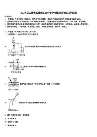 2024届江苏省盐城市汇文中学中考适应性考试化学试题含解析.doc