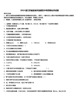 2024届江苏省盐城市盐都区中考四模化学试题含解析.doc
