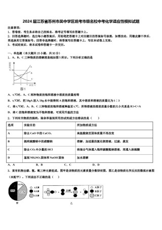 2024届江苏省苏州市吴中学区统考市级名校中考化学适应性模拟试题含解析.doc