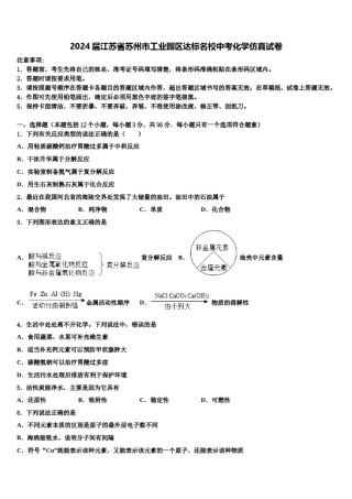 2024届江苏省苏州市工业园区达标名校中考化学仿真试卷含解析.doc