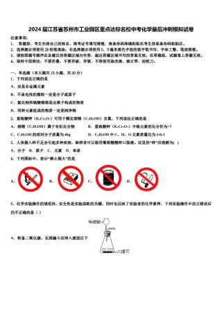2024届江苏省苏州市工业园区重点达标名校中考化学最后冲刺模拟试卷含解析.doc