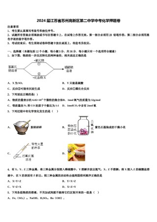 2024届江苏省苏州高新区第二中学中考化学押题卷含解析.doc