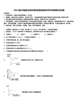 2024届江苏省连云港市海州区新海实验中学中考四模化学试题含解析.doc