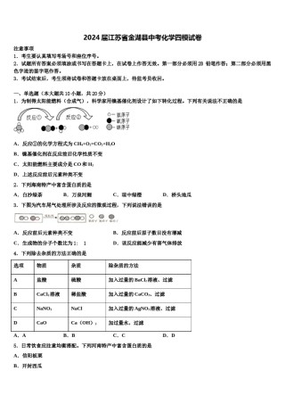 2024届江苏省金湖县中考化学四模试卷含解析.doc