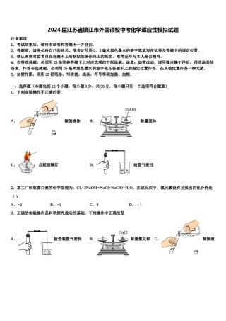 2024届江苏省镇江市外国语校中考化学适应性模拟试题含解析.doc