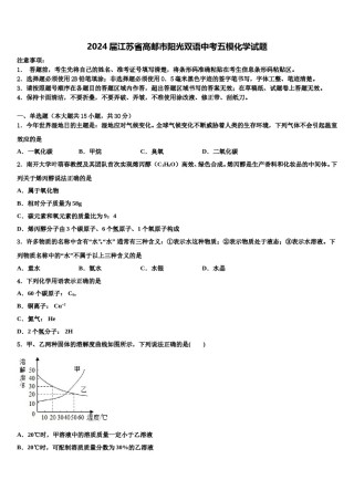 2024届江苏省高邮市阳光双语中考五模化学试题含解析.doc