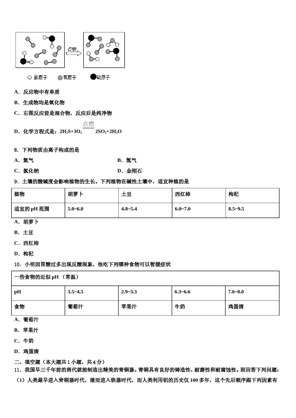 2024届江苏省高邮市阳光双语中考试题猜想化学试卷含解析.doc_第2页
