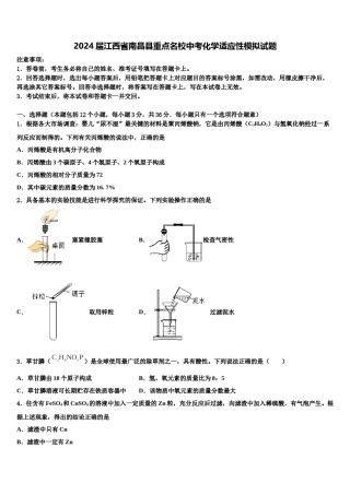 2024届江西省南昌县重点名校中考化学适应性模拟试题含解析.doc
