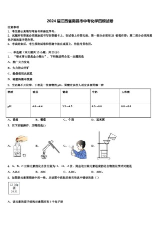 2024届江西省南昌市中考化学四模试卷含解析.doc