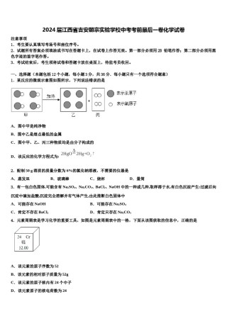 2024届江西省吉安朝宗实验学校中考考前最后一卷化学试卷含解析.doc