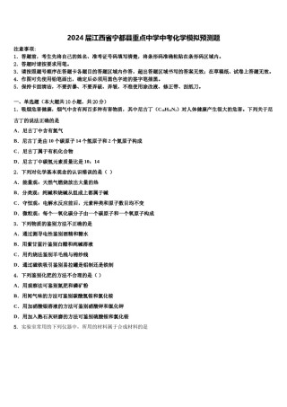 2024届江西省宁都县重点中学中考化学模拟预测题含解析.doc
