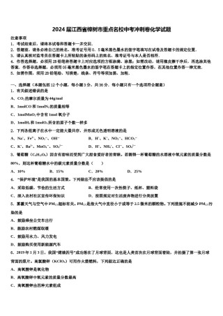2024届江西省樟树市重点名校中考冲刺卷化学试题含解析.doc