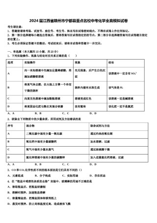 2024届江西省赣州市宁都县重点名校中考化学全真模拟试卷含解析.doc