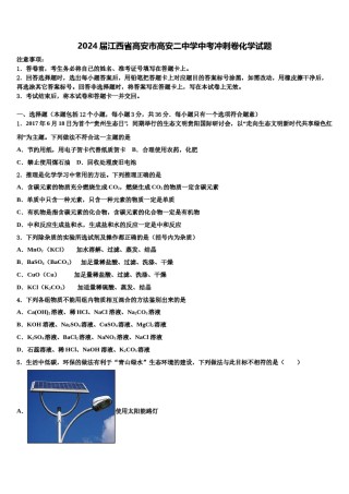 2024届江西省高安市高安二中学中考冲刺卷化学试题含解析.doc