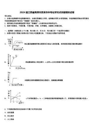 2024届江西省鹰潭市贵溪市中考化学对点突破模拟试卷含解析.doc