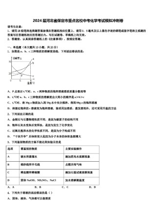 2024届河北省保定市重点名校中考化学考试模拟冲刺卷含解析.doc