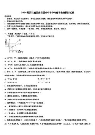 2024届河北省正定县重点中学中考化学全真模拟试卷含解析.doc