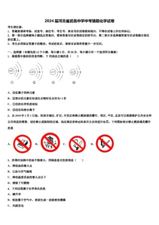 2024届河北省武邑中学中考猜题化学试卷含解析.doc