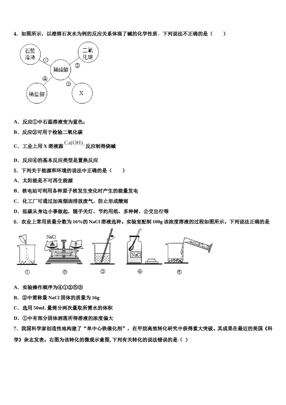 2024届河北省沧州市东光县中考化学考试模拟冲刺卷含解析.doc_第2页
