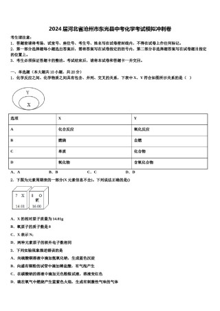 2024届河北省沧州市东光县中考化学考试模拟冲刺卷含解析.doc