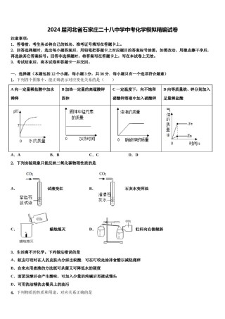 2024届河北省石家庄二十八中学中考化学模拟精编试卷含解析.doc