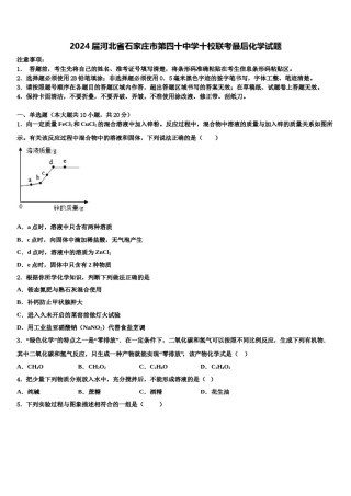 2024届河北省石家庄市第四十中学十校联考最后化学试题含解析.doc