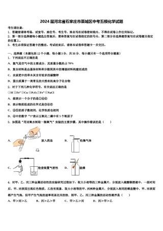 2024届河北省石家庄市藁城区中考五模化学试题含解析.doc
