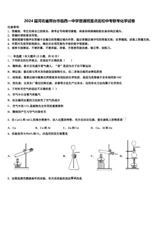 2024届河北省邢台市临西一中学普通班重点名校中考联考化学试卷含解析.doc