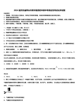 2024届河北省邢台市英华集团初中部中考适应性考试化学试题含解析.doc