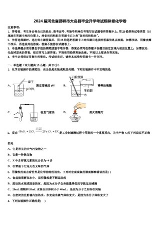 2024届河北省邯郸市大名县毕业升学考试模拟卷化学卷含解析.doc