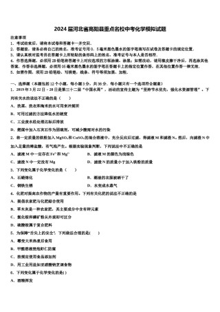 2024届河北省高阳县重点名校中考化学模拟试题含解析.doc