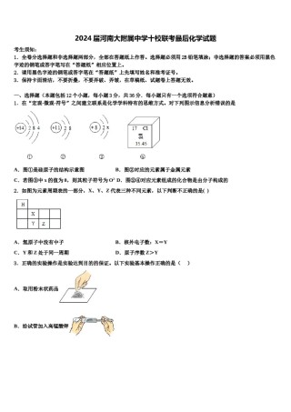 2024届河南大附属中学十校联考最后化学试题含解析.doc