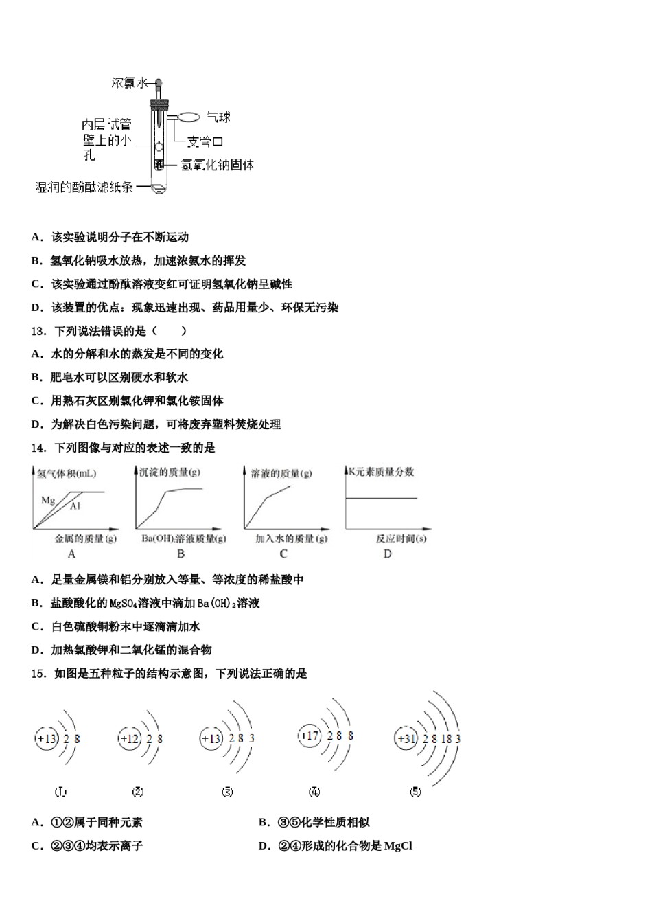 2024届河南省淮阳区羲城中学中考化学考试模拟冲刺卷含解析.doc_第3页