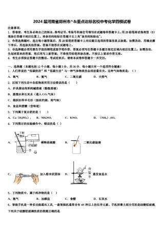 2024届河南省郑州市^&重点达标名校中考化学四模试卷含解析.doc