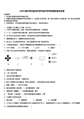 2024届泸州市重点中学毕业升学考试模拟卷化学卷含解析.doc