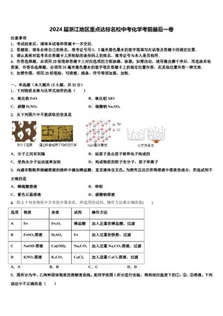 2024届浙江地区重点达标名校中考化学考前最后一卷含解析.doc