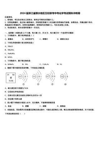 2024届浙江省丽水地区五校联考中考化学考试模拟冲刺卷含解析.doc
