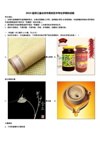 2024届浙江省台州市黄岩区中考化学模拟试题含解析.doc