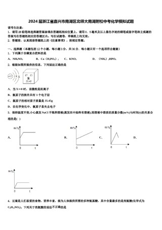 2024届浙江省嘉兴市南湖区北师大南湖附校中考化学模拟试题含解析.doc