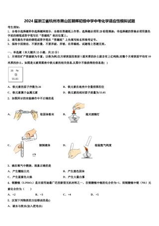 2024届浙江省杭州市萧山区朝晖初级中学中考化学适应性模拟试题含解析.doc