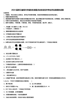 2024届浙江省绍兴市城东东湖重点达标名校中考化学全真模拟试题含解析.doc