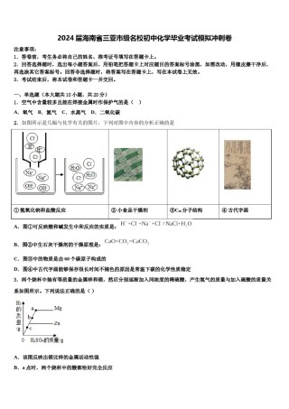 2024届海南省三亚市级名校初中化学毕业考试模拟冲刺卷含解析.doc