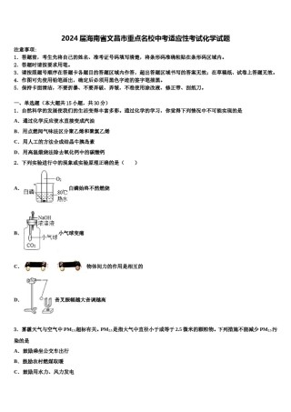 2024届海南省文昌市重点名校中考适应性考试化学试题含解析.doc