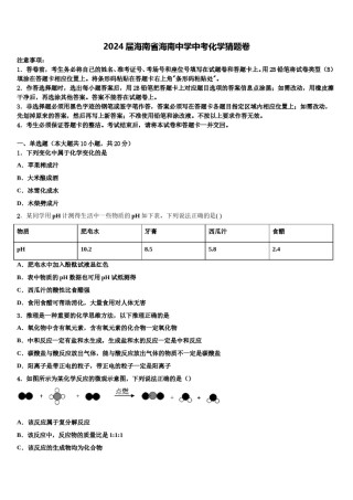 2024届海南省海南中学中考化学猜题卷含解析.doc